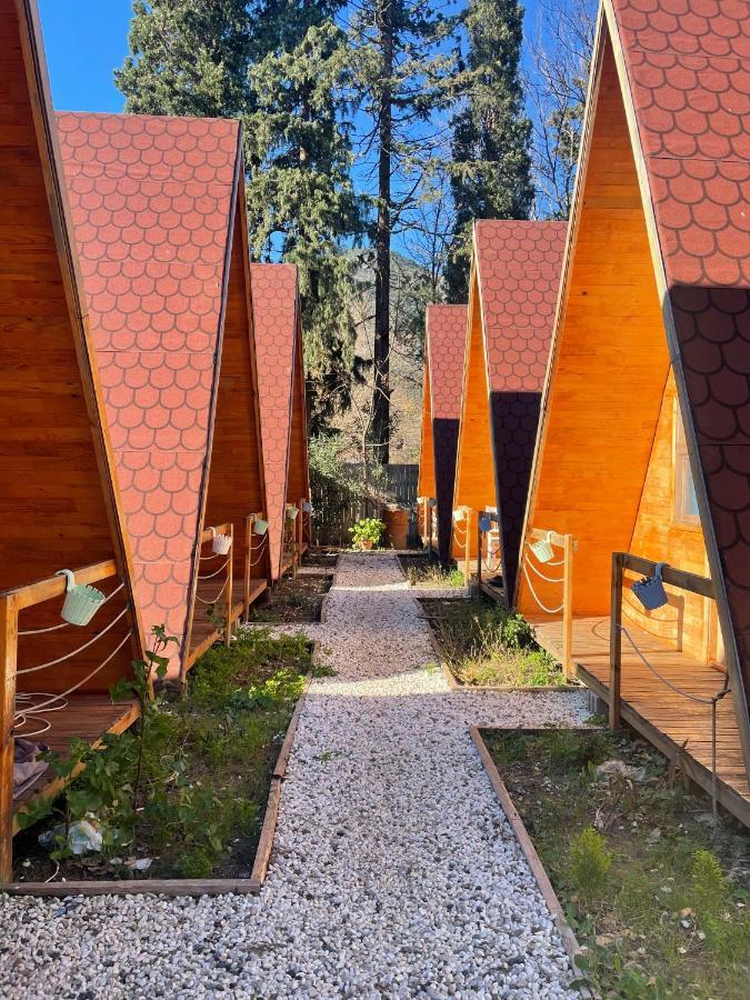 Gemicihan Bungalov Apartment Adrasan Bagian luar foto